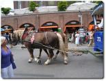 img_0077.jpg