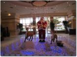 Weihnachten__-__Hurghada_2011_-037.jpg