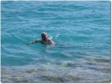 Weihnachten__-__Hurghada_2011_-092.jpg