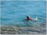 Weihnachten__-__Hurghada_2011_-094.jpg