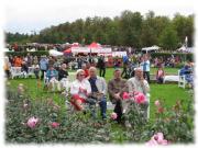 Ludwigsburg41.2008.jpg
